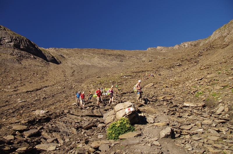 24h Hike Mammut_Ochsner 'Schwarzhorn_First 2166m' 18_08_2012 (47).JPG